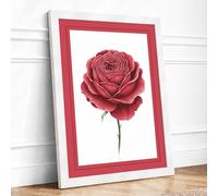 Crimson Rose Unfolding Botanical Framed Wall Art Print A1 (84.1×59.4cm) White, Wall Decor for Living Room, Bedroom, Office & Home, Ready to Hang, Art Gift