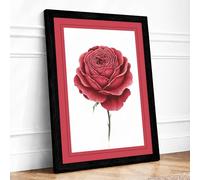 Crimson Rose Unfolding Botanical Framed Wall Art Print A4 (29.7×21cm) Black, Wall Decor for Living Room, Bedroom, Office & Home, Ready to Hang, Art Gift