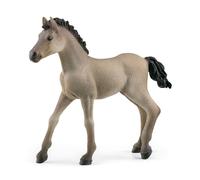 SCHLEICH 13949 Criollo Definitivo Foal Horse Club Toy Figurine for children aged 5-12 Years
