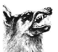 Crippled Black Phoen - I Vigilante - CD - 70 - E4z