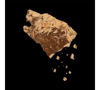 Crippled Black Phoenix Bronze (Vinyl) 12" Album (US IMPORT)