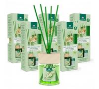 Cristalinas 35ml Night Blooming Jasmine Reed Diffusers for Home - Fragrance Lasts up to 8 weeks - Room Diffuser Sticks with Coloured Fragrance Oil - Pack of 5