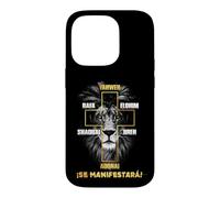 Cristianos de Jesus en Espanol Christian Spanish mensaje Case for iPhone 14 Pro