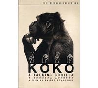 Criterion Collection: Koko - A Talking Gorilla [DVD] [1978] [Region 1] [US Import] [NTSC]