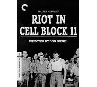 Criterion Collection: Riot in Cell Block 11 [DVD] [1954] [Region 1] [US Import] [NTSC]