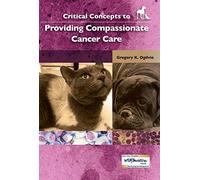 Critical Concepts to Providing Compassionate Cancer Care