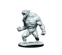 Critical Role Unpainted Miniatures - Aeorian Reverser (90371)