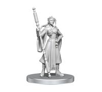 Critical Role Unpainted Miniatures | Tabletop RPG Figures | Wave 26 (Beauregard Lionett & Caleb Widogast)