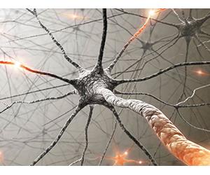 Critical Thinking and Science in Your Life