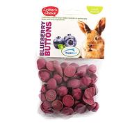 Critter's Choice Blueberry Buttons 40g