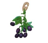 Critters Choice Grape Nibbler Chew Toy for Small Animals Fun Interactive Playing Nibbling Natural Non Toxic Hanging Toy Easy to Use for Mice Hamsters