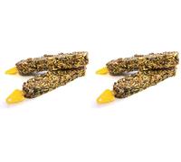 Critters Choice Seed Sticks Strawberry & Raspberry for Small Animals Natural Gnawing Nibbling Healthy Non Toxic Treat Chew for Guinea Pig Rabbits Hamsters (Pack of 2)