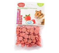 Critters Choice Small Animal Raspberry and Strawberry Drops Healthy Delicious Chews Vitamin Enriched Snacks Treats for Rabbit Guinea Pigs Hamsters 75g