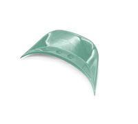CRJIMX Motorcycle Ducktail Rear Grab Holder ABS Plastic Fairing Rear Spoiler For Vespa For Sprint For Primavera 50 125 150 2013-2024(Light Green)