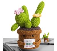 Crochet Cactus Plant - Handmade Knitted Yarn Potted Emotiønal Support Plant Doll | Positive Energy ?Îft With Card, Crochet Cactus Ornament For Desk, Bedroom & Offíce Decor
