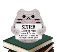 Crochet Cat Already Made Positive Cat Crochet, Little Memories, Handmade Knitted Positive Cat with Message, Funny Crochet Kitty Easter Basket Stuffs for Emotional Support