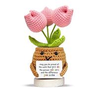 Crochet Flower Pot Gift for Friend - “May You Be Proud” Handmade Encouragement Decor - Thoughtful Friendship & Appreciation Gifts - Love Gift for Her