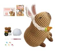 Crochet Kit for Beginners Animal Crochet Kit Knitting Accessories Set