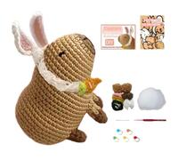 Crochet Kit for Beginners Beginner Crochet Starting Set