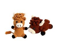 Crochet Kit for Beginners | Beginners, Learn to Crochet | Crochets Kit | Include Keychain with Beads & Tassel, Crochets Hook, Soft Yarn, Video, Birthday Gift for Adults