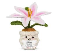Crochet Lily Flower for Mom - Cute Handmade Plush Flower Pot with Love Note Sign, Sweet from Kids, Amigurumi Room Shelf Decor