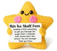 Crochet Star Encouragement Gift, Thinking of You & Get Well Soon Care Package, Sympathy Gift for Friend, Emotional Health Support & Mental Health Keepsake for Tough Times, Anxiety Relief