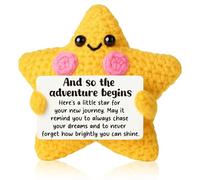 Crochet Star Positive Gift Emotional Support New Job Beginnings Gifts, Leaving Gift for Colleagues Friend, Motivational Desk Decor for Women Men, Congratulations for New Adventure