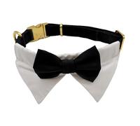 Croci Ceremony Smoking Dog Collar Bandana Tuxedo Shirt and Bow Tie for Weddings Adjustable L/16-26"
