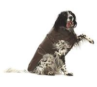 Croci Montreal - Dog Coat, Winter Coat, Waterproof Jacket, Size 30cm, Brown