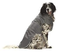 CROCI Montreal Rainproof Coat, 25 cm, Grey