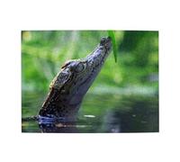 Crocodile,500 Pieces Puzzles for Adults-Wooden Jigsaw Puzzle for Adults Elderly