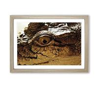 Crocodile Eye Framed Print | A2 Oak Framed Wall Art | Ready to Hang | Modern Nature Picture | Living Room Bedroom Lounge Office