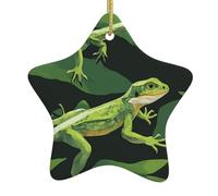 Crocodile foraging again Print Christmas Tree Ceramic Hanging Ornaments â€“ Star Shaped Xmas Decorations with Golden Rope
