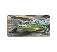 Crocodile Green Desk Mat Anti-Slip Big Mousepad Keyboard Pad Mouse Mat for Computer Extended Mouse Pad for Gaming Desk Blotter Waterproof Writing Pads for Office and Home