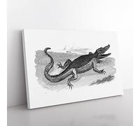 Crocodile In Black & White By George Shaw Vintage Canvas Wall Art Print Ready to Hang, Framed Picture for Living Room Bedroom Home Office Décor, 50x35 cm (20x14 Inch)