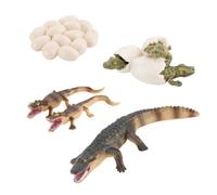 Crocodile Life Cycle Learning Toy, With Realistic 4 Stage Growth Figures Set, Educational Animal Development Model Kit, Science Teaching Aid, For Preschool Boys Girls Kindergarten Classroom