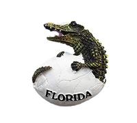 Crocodile of Florida USA 3D Fridge Magnet Souvenir Gift， Home & Kitchen Decoration Magnetic Sticker Florida USA Refrigerator Magnet Collection