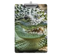 Crocodile Pirate Pattern Clipboard Simple Sturdy Standard A4 Letter Size Acrylic Clipboard Low-Profile Metal Clip with Retractable Hanging Hole Plastic Clipboards