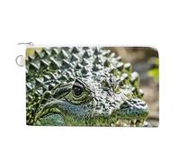 Crocodile Pirate Pattern Coin Purse-Canvas,Small Wallet for Men & Women,Travel Wallet for Earphones,Keys,Cards,Cash