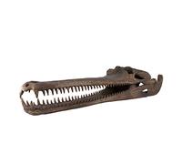 Crocodile Skull, Crocodile Skull Model, Lifelike Animal Fossil Skull Simulation Crocodile Fossil Skull Replicas, Real Sk