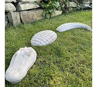 Crocodile Stone Cast 3-Piece Garden Ornament Lawn Statue by DGS Statues