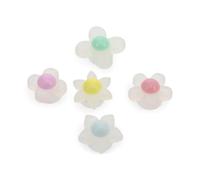 Set of 5 Iridescent Flowers Jibbitz Multi-Coloured