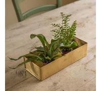 Crocus Collection 30cm Brushed Brass Windowsill Seed Tray Water Drip Tray for Planters