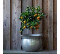 Crocus Collection 36.5cm Polished Silver Plated Etched Bowl Planter Decorative Plant Pot for Indoor Use