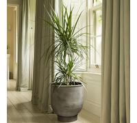 Crocus Collection 41cm Metal Indoor Planter Flower Plant Pot with Plinth Stand Conical Base Aged Zinc