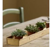 Crocus Collection 81cm Windowsill Planter Watering Drip Tray Saucer for Small Pots Brushed Brass
