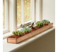 Crocus Collection 81cm Windowsill Planter Watering Drip Tray Saucer for Small Pots Brushed Copper