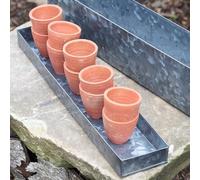 Crocus Collection Set of 10 Terracotta Nursery Seedling Grow Pots Gift Set Windowsill Planter in Galvanised Box