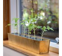 Crocus Collection Set of 6 Metal Galvanised Grow Pod Planters Square Bottomless Pots in Rectangular Brass Reservoir Tray