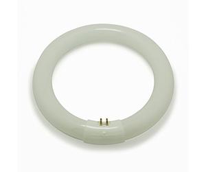 Crompton 40w T9 G10q Circular Fluorescent Triphosphor Colour 840 Cool White 4000k CIR40SPCW